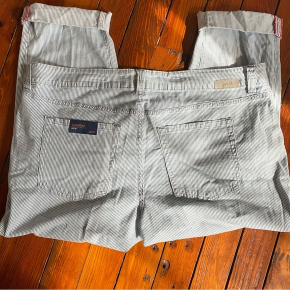 Jag Counter Girlfriend Jeans in Railroad Pinstripe Bleach-Wash Size 22W NWT - Picture 4 of 16